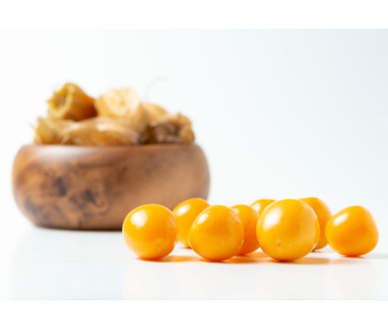 Physalis (Aiguamant)