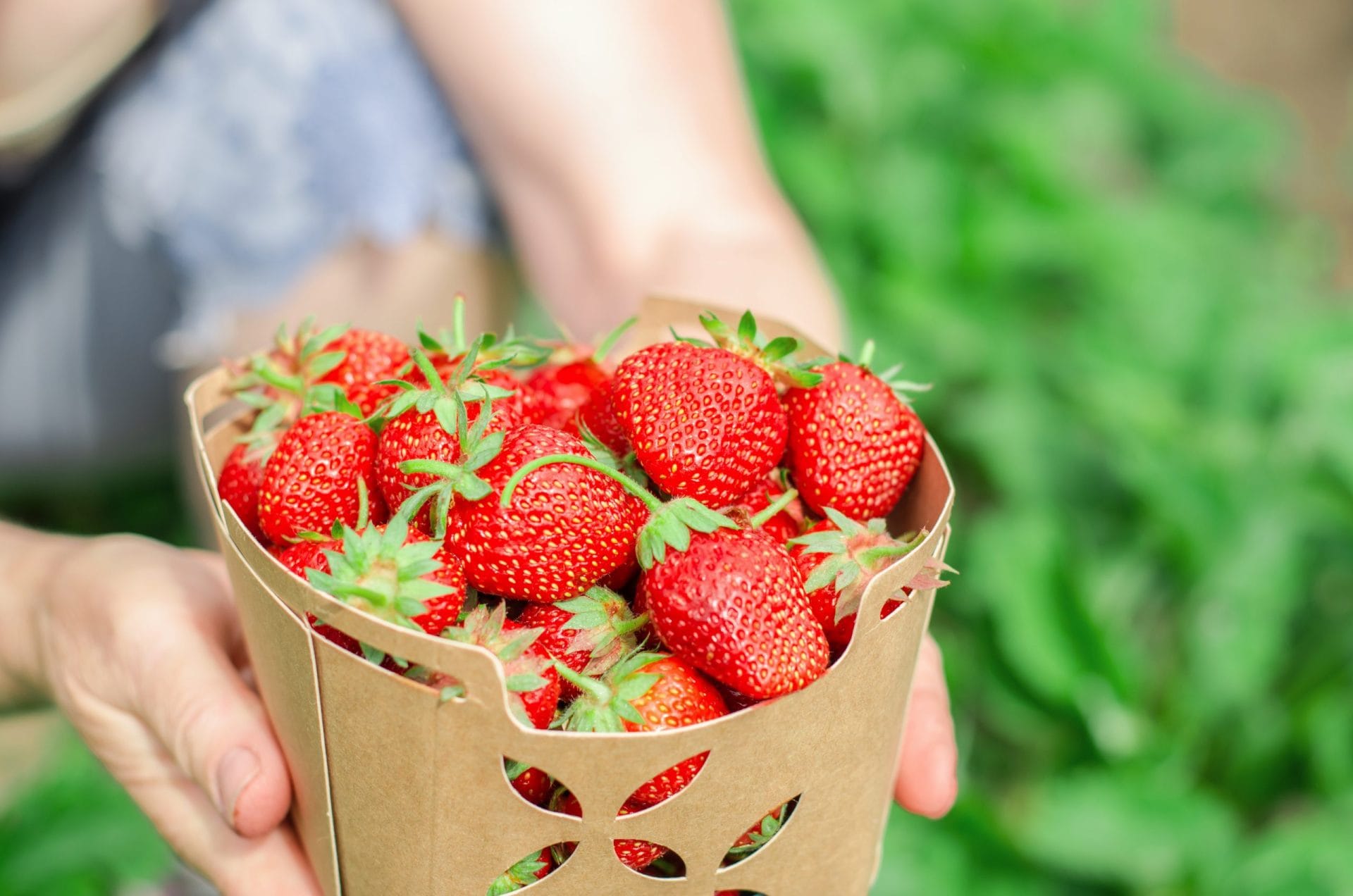 Descobrint la varietat de fruites distribuïdes per Aresca
